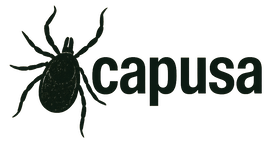 Capusa Logo